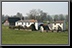 130_Avebury.jpg